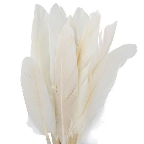 Piórka lotki Czakos 15cm, Ecru